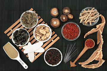 Image showing Acupuncture Needles with Chinese Plant Based Herbs and Spice