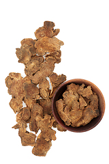 Image showing Atractylodes Root Chinese Herb