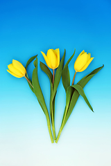 Image showing Yellow Spring Tulip Flower Abstract Composition 