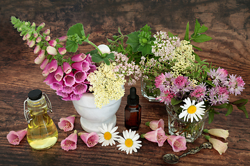 Image showing Flowers and Herbs for Alternative Healing Remedies