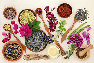 Image showing Healing Herbs and Flowers for Natural Remedies