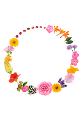 Image showing Herbal Medicine Herb and Flower Abstract Wreath