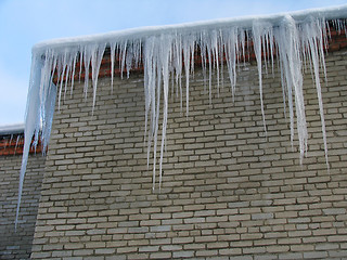 Image showing Big icicles on the roof