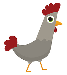 Image showing Grey rooster, vector or color illustration.