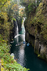 Image showing Yellow leaves in Takachiho Gorge of Japan