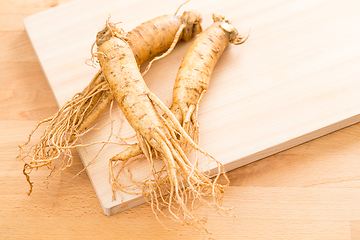 Image showing Fresh korean Ginseng  