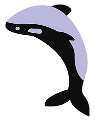 Image showing Blue Whale, vector or color illustration.
