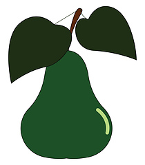 Image showing Pear, vector or color illustration.