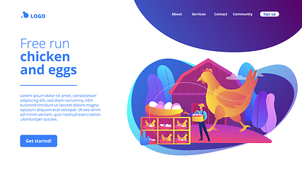 Image showing Free run chicken and eggs concept landing page.