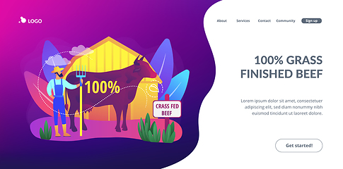 Image showing Grass fed beef concept landing page.