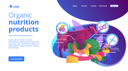 Image showing Free from antibiotics hormones GMO foods concept landing page.