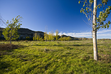 Image showing Landscape