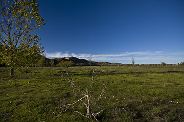 Image showing Landscape