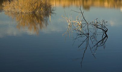 Image showing Lake