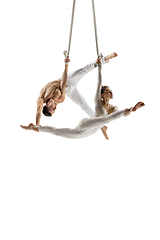 Image showing Couple of young acrobats, circus athletes isolated on white studio background. Training perfect balanced in flight