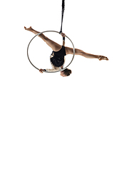 Image showing Young female acrobat, circus athlete isolated on white studio background. Training perfect balanced in flight