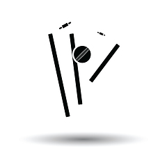 Image showing Cricket wicket icon