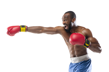 Image showing Bright emotions of professional boxer isolated on white studio background, excitement in game