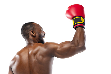 Image showing Bright emotions of professional boxer isolated on white studio background, excitement in game