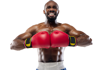 Image showing Bright emotions of professional boxer isolated on white studio background, excitement in game