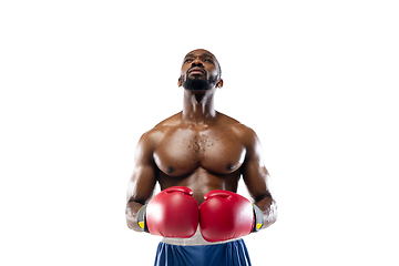 Image showing Bright emotions of professional boxer isolated on white studio background, excitement in game