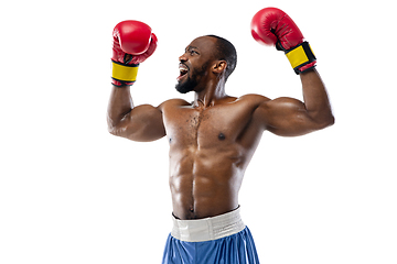 Image showing Bright emotions of professional boxer isolated on white studio background, excitement in game