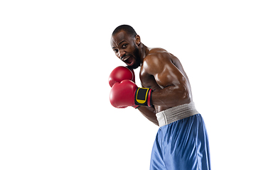 Image showing Bright emotions of professional boxer isolated on white studio background, excitement in game