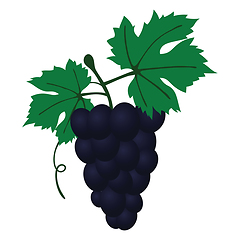 Image showing Flat design icon of Grape in ui colors. 