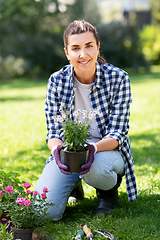 Image showing woman planting rose flowers at summer garden