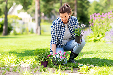 Image showing woman planting rose flowers at summer garden