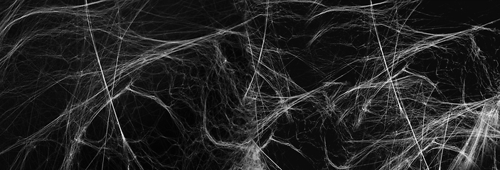 Image showing halloween decoration of spider web over black