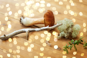 Image showing boletus mushrooms, moss, branch and bark on wood