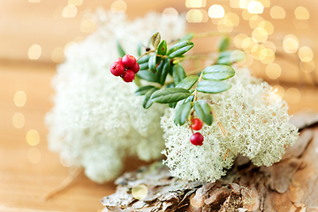 Image showing close up of cowberry and reindeer lichen moss