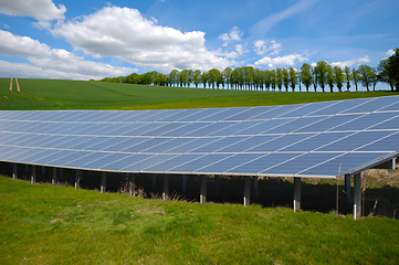 Image showing Rows of solar panels and green nature