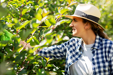 Image showing woman in hat working at summer garden