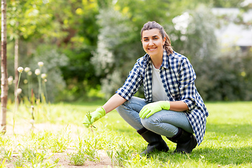 Image showing woman weeding flowerbed at summer garden