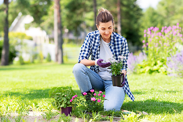 Image showing woman planting rose flowers at summer garden