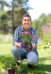 Image showing woman planting rose flowers at summer garden