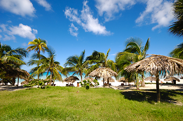 Image showing Palms and parasols at exotic beach