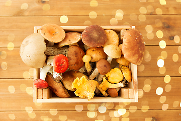 Image showing wooden box of different edible mushrooms