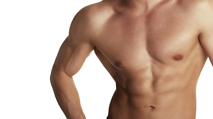 Image showing Muscular torso of bodybuilder