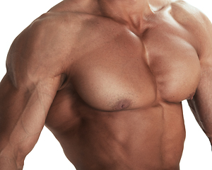 Image showing Muscular torso of bodybuilder