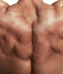 Image showing Muscular torso of bodybuilder