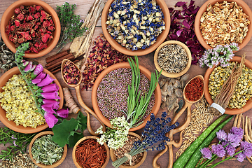 Image showing Herbal Plant Medicine for Natural Healing Medication 