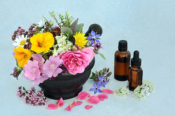 Image showing Essential Oil Preparation for Aromatherapy Treatment 