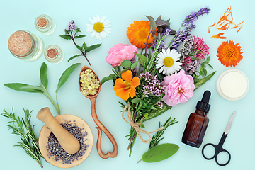 Image showing Preparation of Flowers and Herbs for Natural Medicine