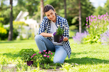 Image showing woman planting rose flowers at summer garden