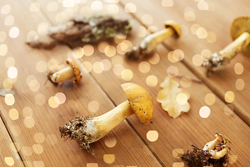 Image showing variegated bolete mushrooms on wooden background