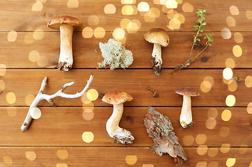 Image showing boletus mushrooms, moss, branch and bark on wood