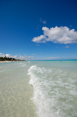 Image showing Tropical beach